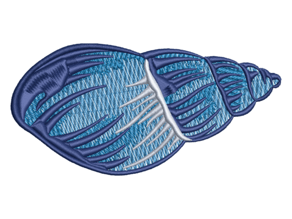 Blue Sea Snail Shell Design Review for Etsy Sellers